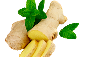 Fresh ginger is effective against nausea