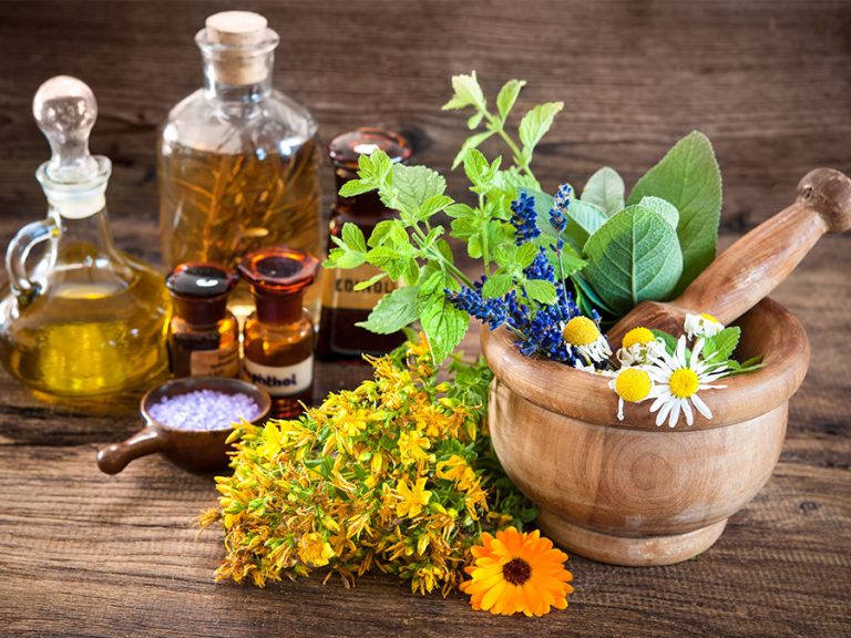 Skin Solutions 3 Herbs You Should Know About American School of